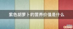 紫色胡萝卜的营养价值是什么
