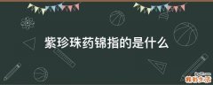 紫珍珠药锦指的是什么