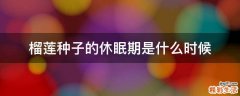 榴莲种子的休眠期是什么时候