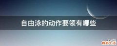 自由泳的动作要领有哪些