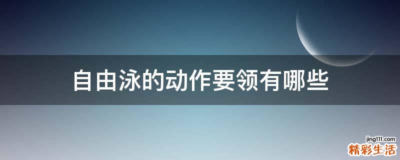 自由泳的动作要领有哪些