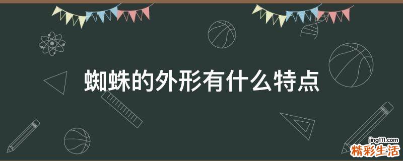 蜘蛛的外形有什么特点