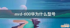 mrd-tl00华为什么型号