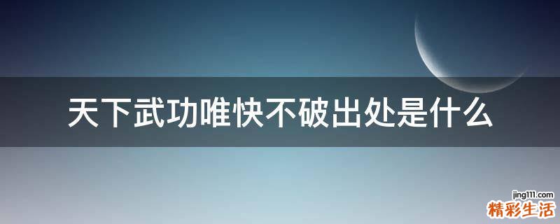天下武功唯快不破出处是什么