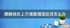 踢脚线处上方墙面潮湿应该怎么办