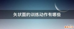 矢状面的训练动作有哪些