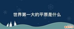 世界第一大的平原是什么