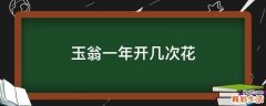 玉翁一年开几次花