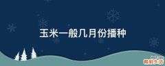 玉米一般几月份播种
