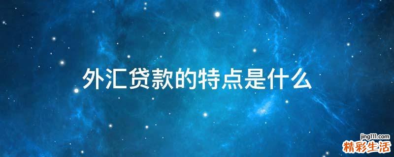 外汇贷款的特点是什么