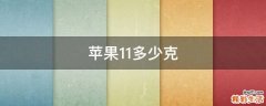 苹果11多少克