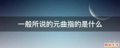 一般所说的元曲指的是什么