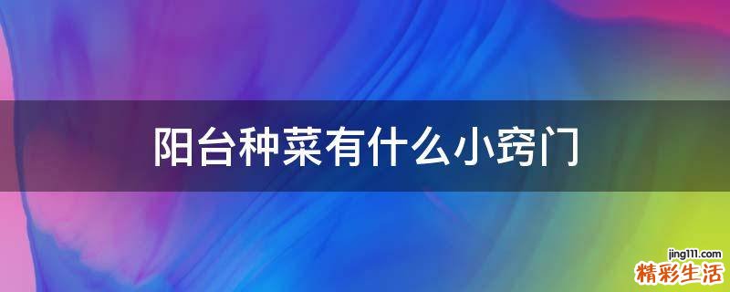 阳台种菜有什么小窍门