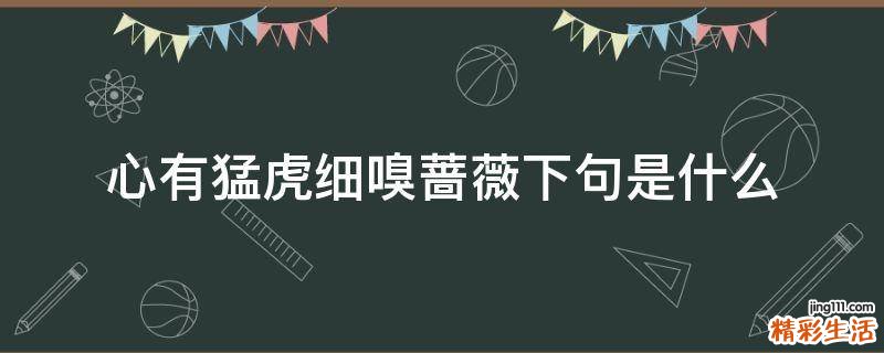 心有猛虎细嗅蔷薇下句是什么
