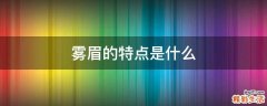 雾眉的特点是什么