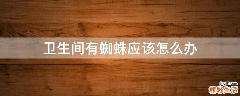 卫生间有蜘蛛应该怎么办