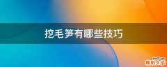 挖毛笋有哪些技巧