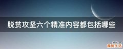 脱贫攻坚六个精准内容都包括哪些