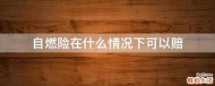 自燃险在什么情况下可以赔