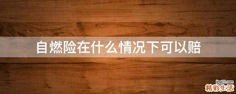 自燃险在什么情况下可以赔