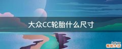 大众CC轮胎什么尺寸