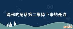 隐秘的角落第二集掉下来的是谁