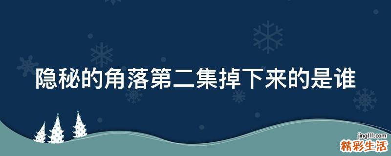 隐秘的角落第二集掉下来的是谁