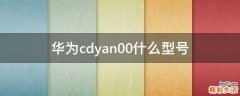 华为cdyan00什么型号