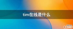 tim在线是什么