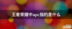 王者荣耀中apc指的是什么