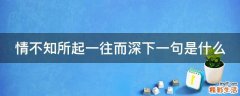 情不知所起一往而深下一句是什么