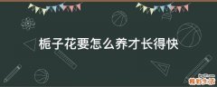 栀子花要怎么养才长得快
