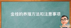 金桂的养殖方法和注意事项