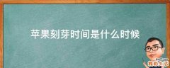 苹果刻芽时间是什么时候