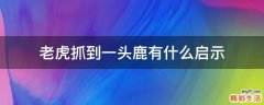 老虎抓到一头鹿有什么启示