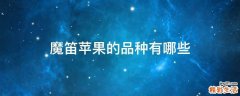 魔笛苹果的品种有哪些
