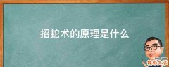 招蛇术的原理是什么
