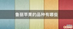 鲁丽苹果的品种有哪些
