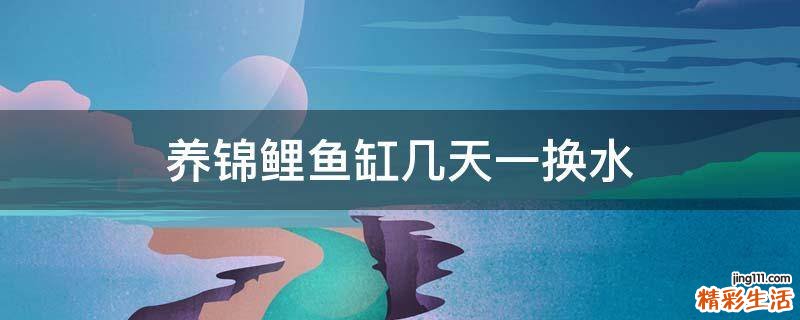 养锦鲤鱼缸几天一换水