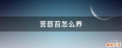 苦苣苔怎么养