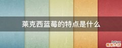莱克西蓝莓的特点是什么