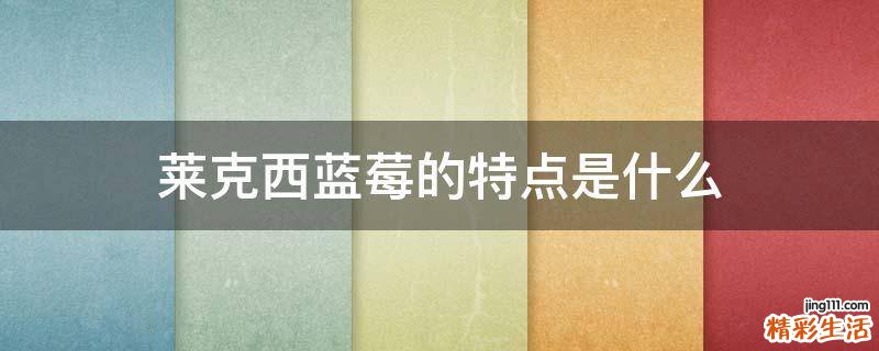 莱克西蓝莓的特点是什么