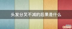 头发分叉不减的后果是什么