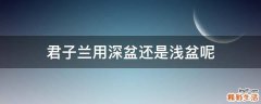 君子兰用深盆还是浅盆呢