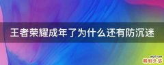 王者荣耀成年了为什么还有防沉迷