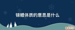 锦鲤体质的意思是什么