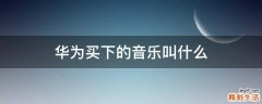 华为买下的音乐叫什么