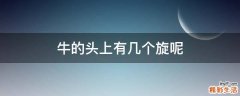 牛的头上有几个旋呢