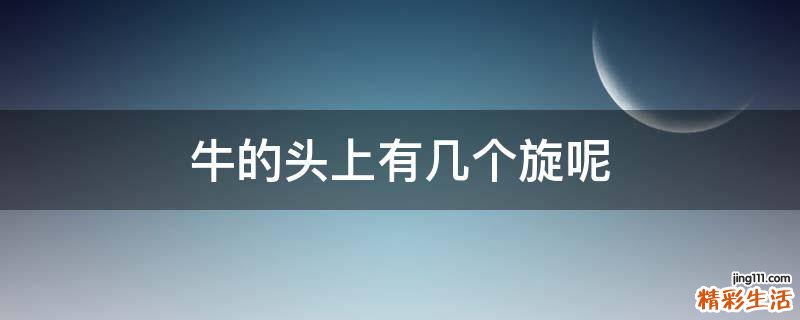 牛的头上有几个旋呢