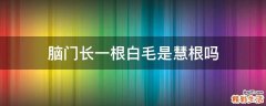 脑门长一根白毛是慧根吗
